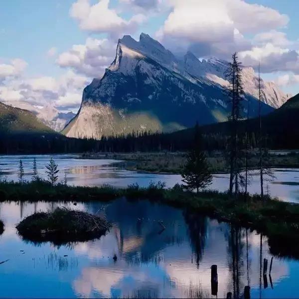 2121�Ƿ���(�й�����)�����ٷ���վ